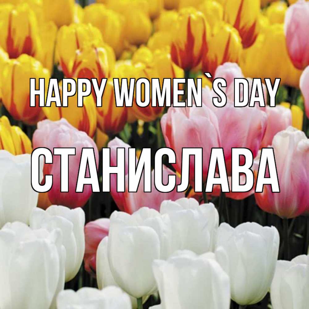 Greetings card с именем, Станислава happy women`s day разноцветные цветы Greetings with text for free download 